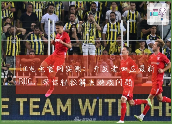 im电竞官网实测：开发者回应最新BUG，带你轻松解决游戏问题