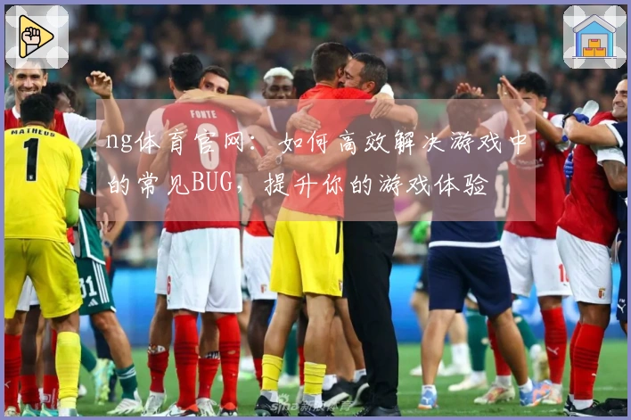 ng体育官网：如何高效解决游戏中的常见BUG，提升你的游戏体验