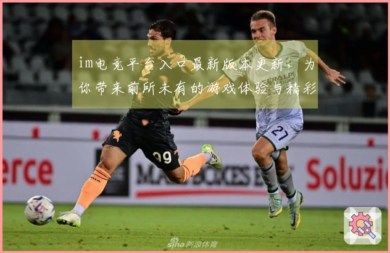 im电竞平台入口最新版本更新，为你带来前所未有的游戏体验与精彩内容调整