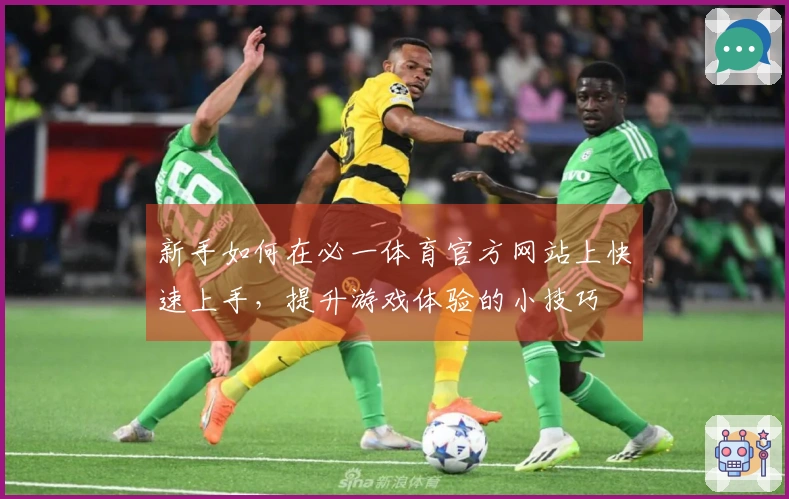 新手如何在必一体育官方网站上快速上手，提升游戏体验的小技巧